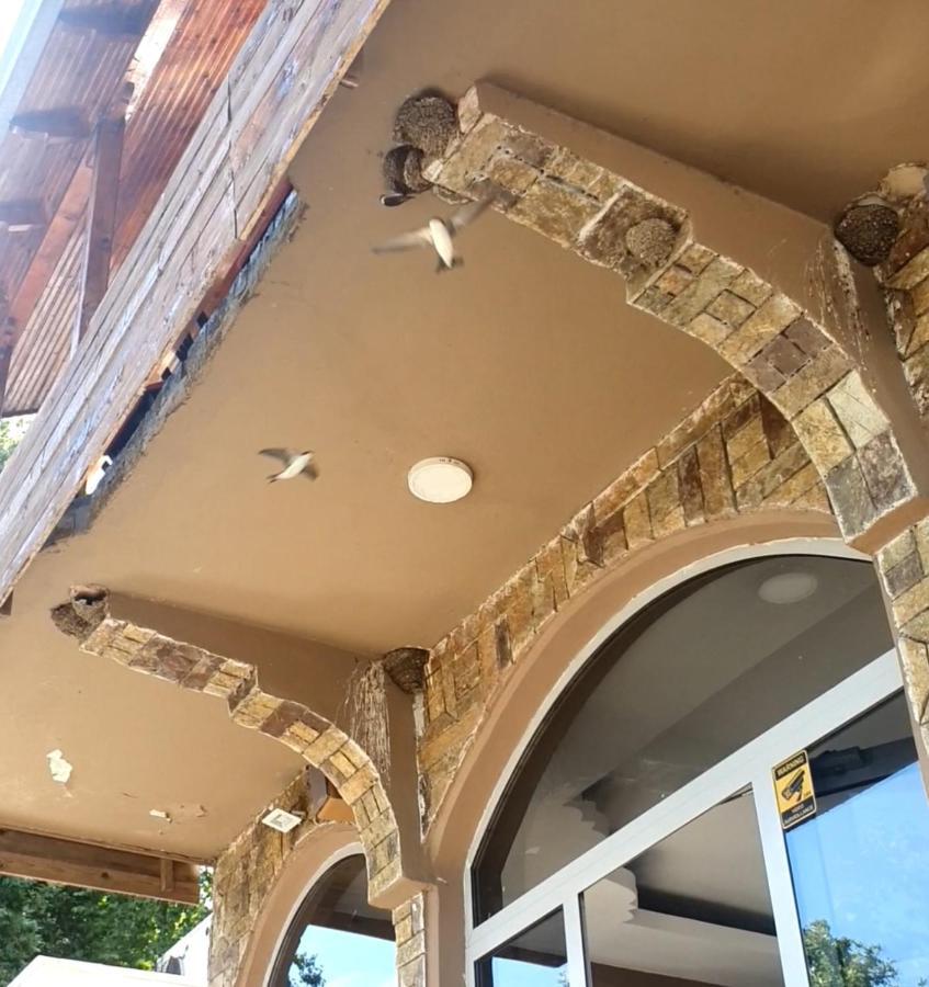 Hotel Piccolino Shkoder Exterior photo